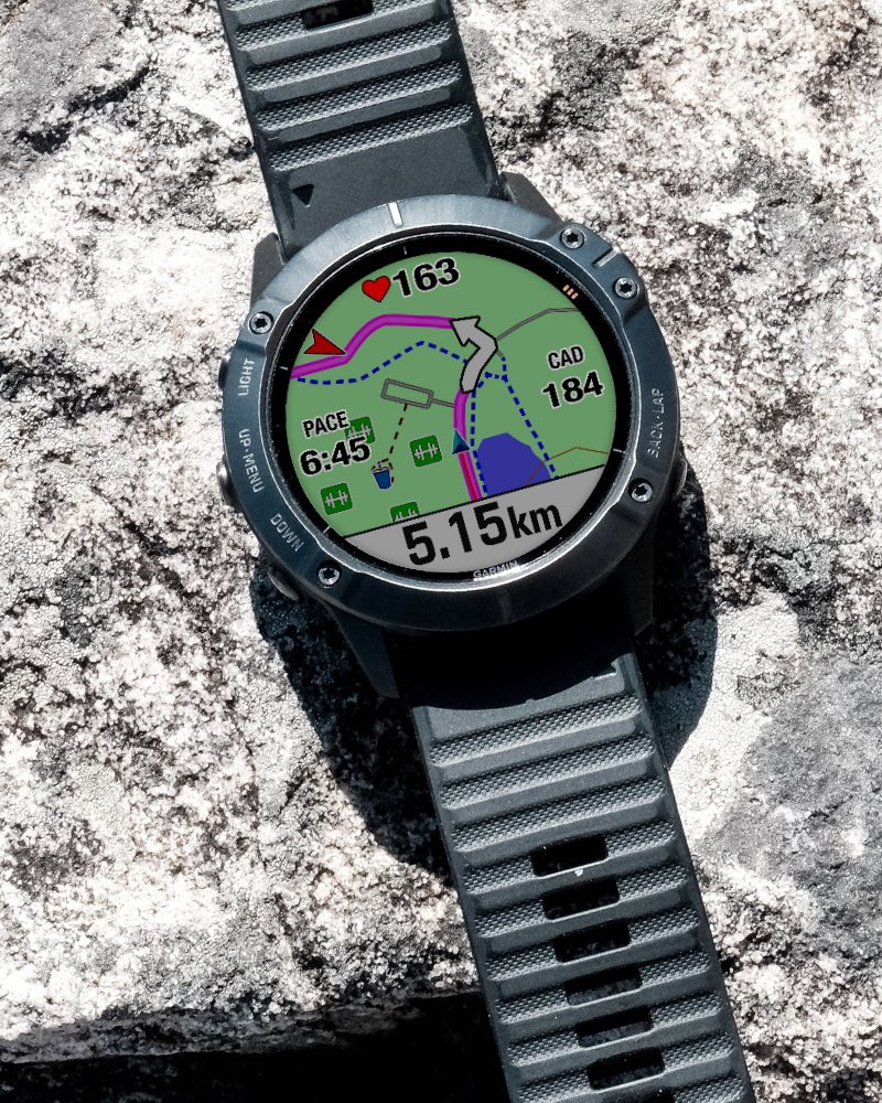 garmin fenix6