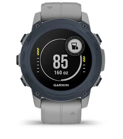 Garmin